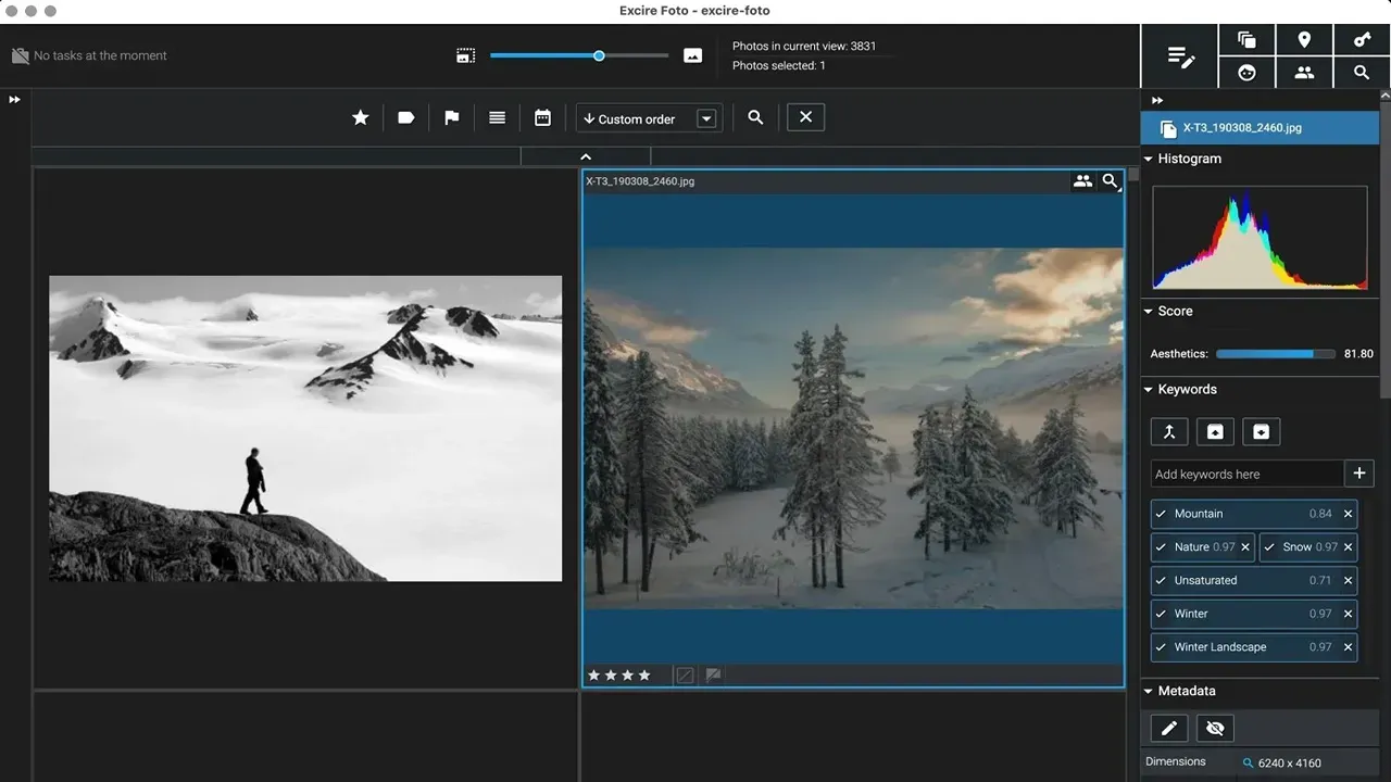 German Photo Contest to be Judged by AI: Initiative from Excire Creators
